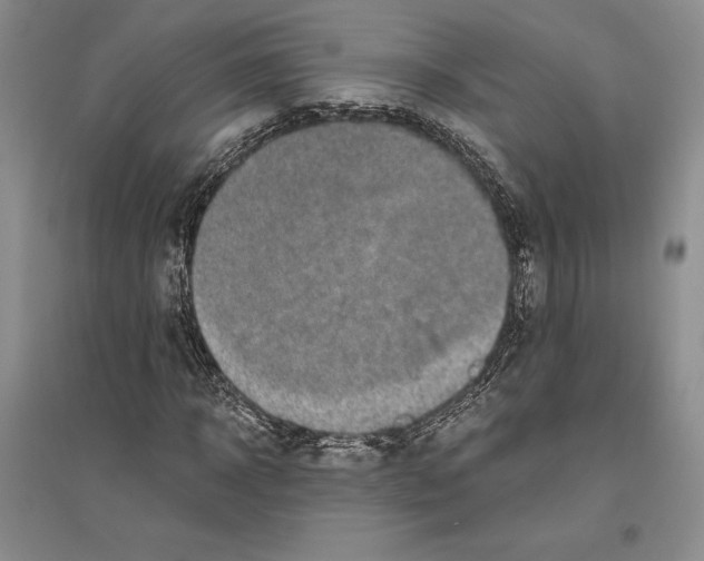 X0000096180918200802151438