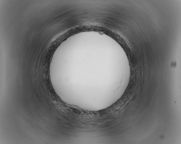 X0000096180919200802151438