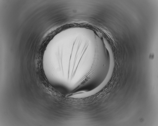 X0000096180920200802151438