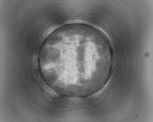 X0000096180921200802151438