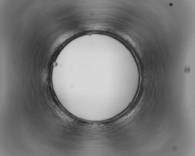 X0000096180922200802151438