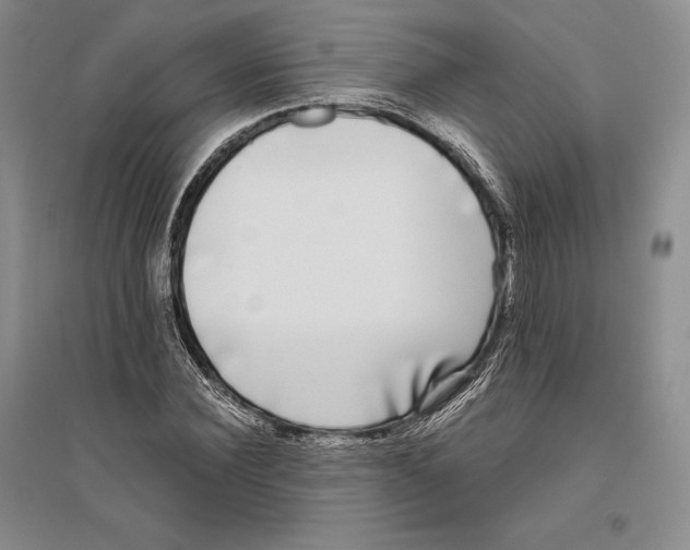 X0000096180924200802151438