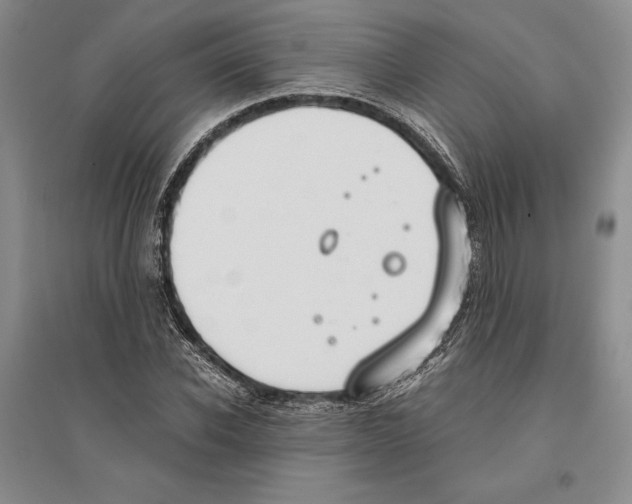X0000096180926200802151438