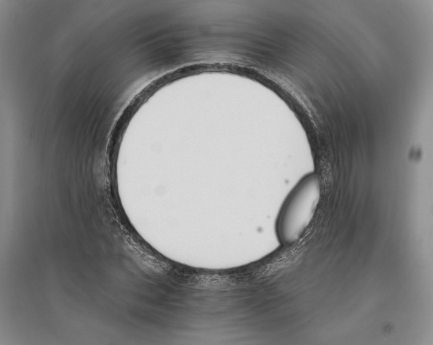 X0000096180927200802151438