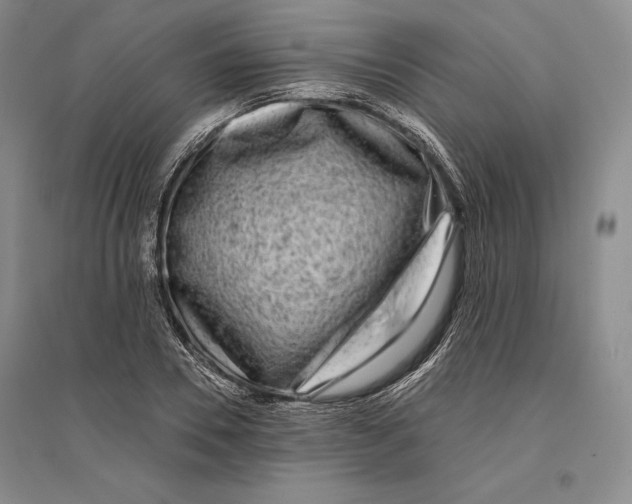 X0000096180930200802151438