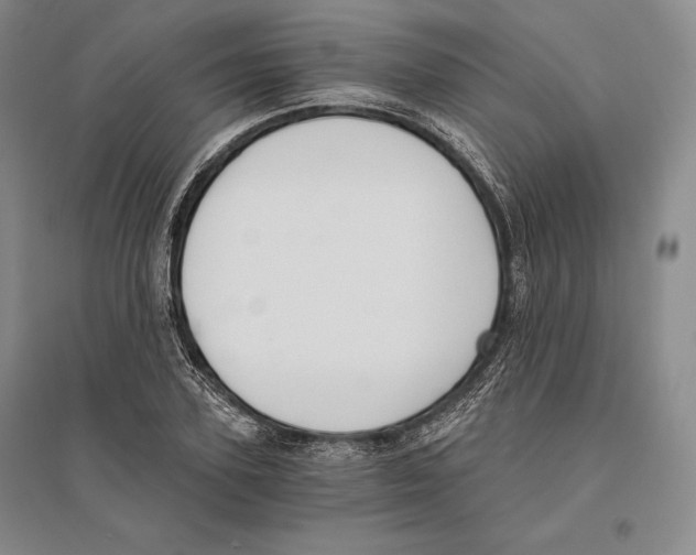 X0000096180931200802151438