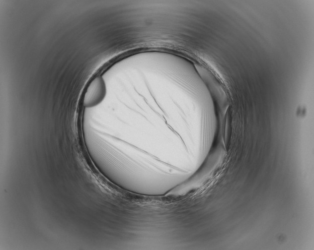 X0000096180932200802151438