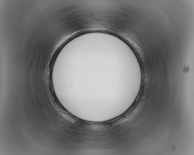 X0000096180933200802151438