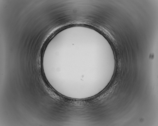 X0000096180934200802151438