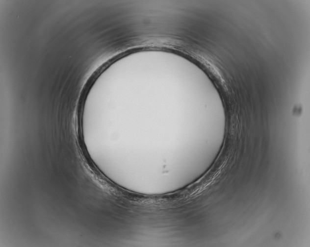 X0000096180936200802151438