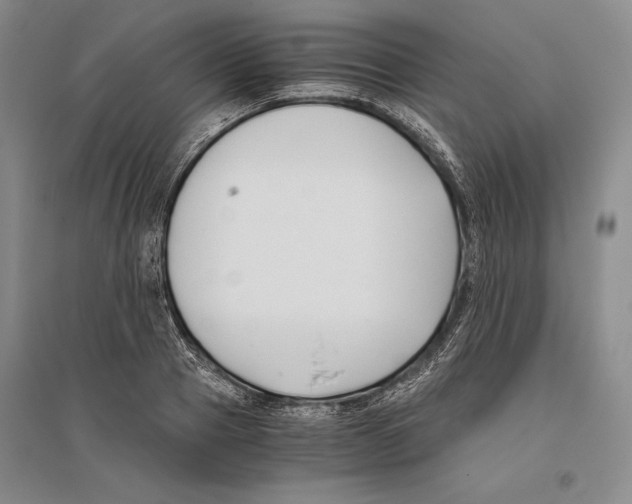 X0000096180937200802151438