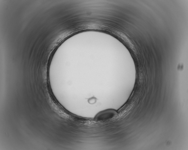 X0000096180938200802151438