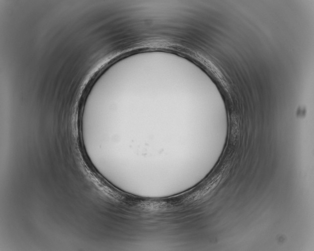 X0000096180939200802151438