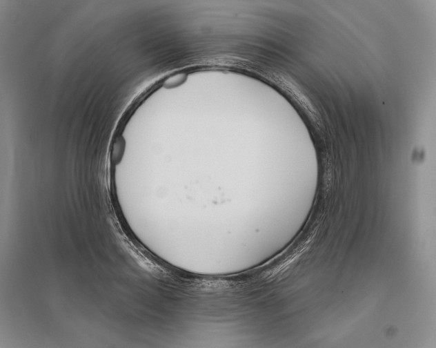 X0000096180940200802151438