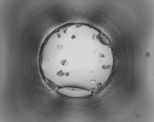 X0000096180943200802151438