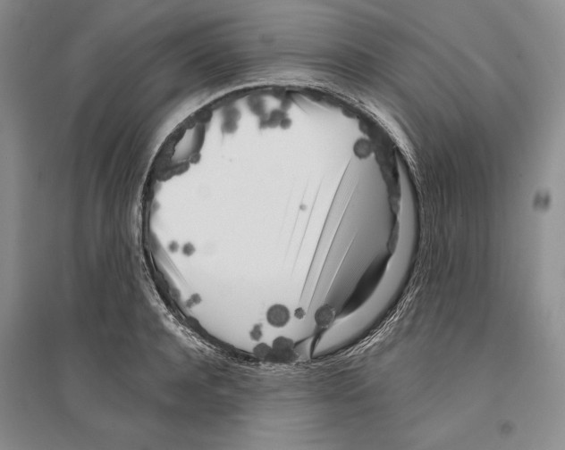 X0000096180944200802151438