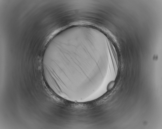 X0000096180945200802151438