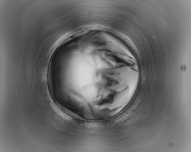 X0000096180946200802151438
