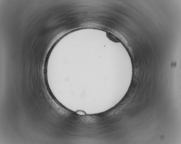 X0000096180947200802151438