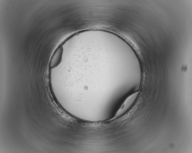 X0000096180948200802151438