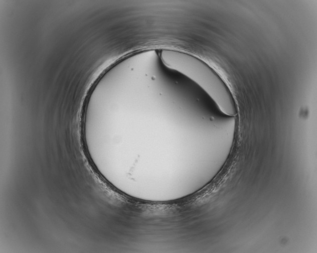 X0000096180949200802151438