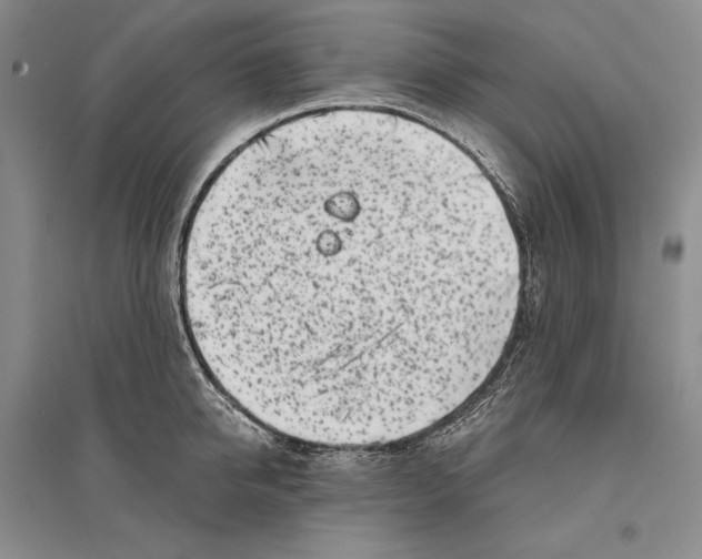 X0000096180950200802151438