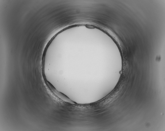X0000096180951200802151438