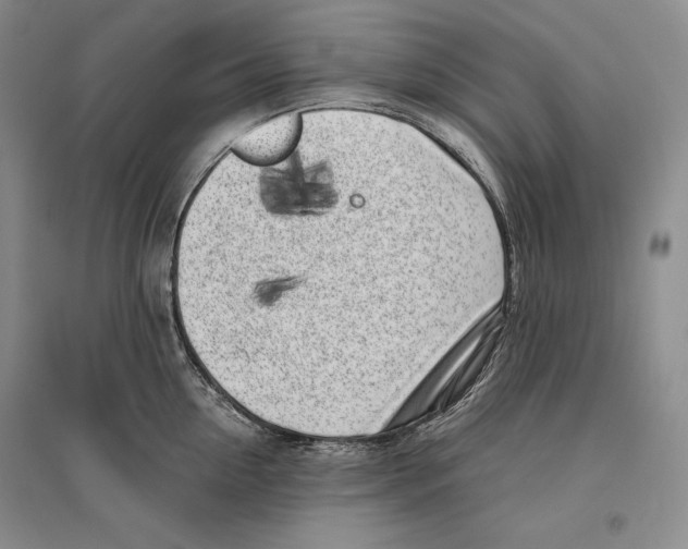 X0000096180954200802151438