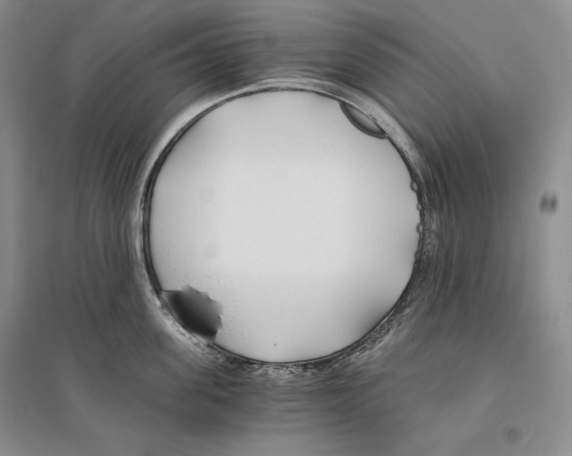 X0000096180955200802151438