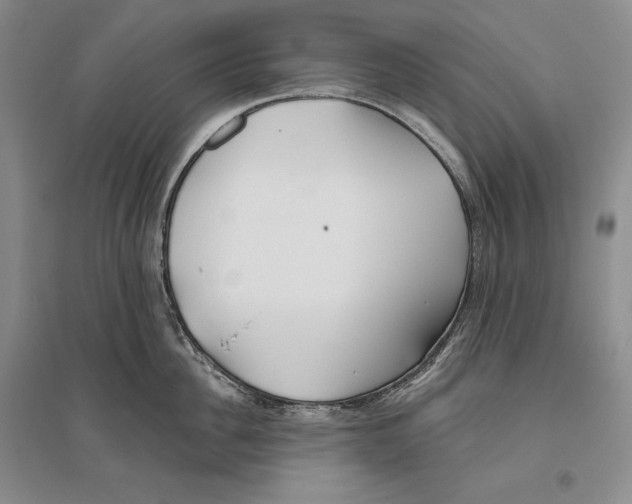 X0000096180956200802151438