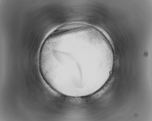 X0000096180957200802151438