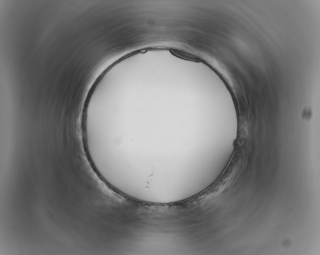 X0000096180959200802151438