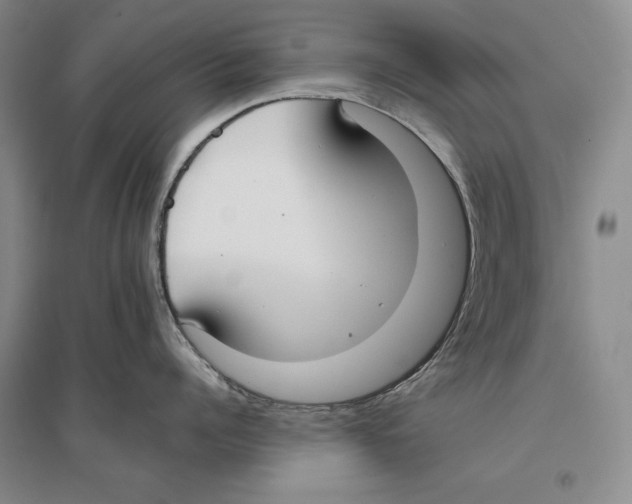 X0000096180960200802151438