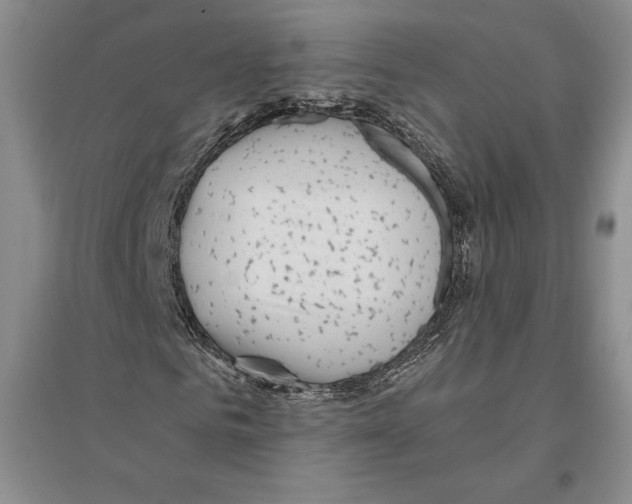 X0000096180961200802151438