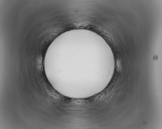 X0000096180963200802151438