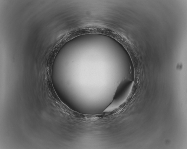 X0000096180965200802151438