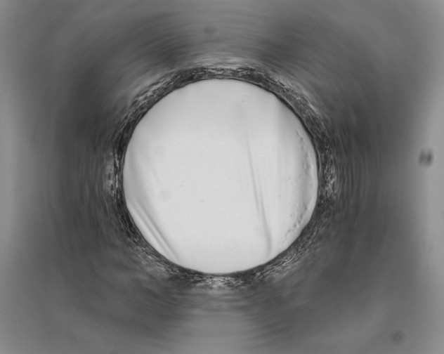 X0000096180966200802151438