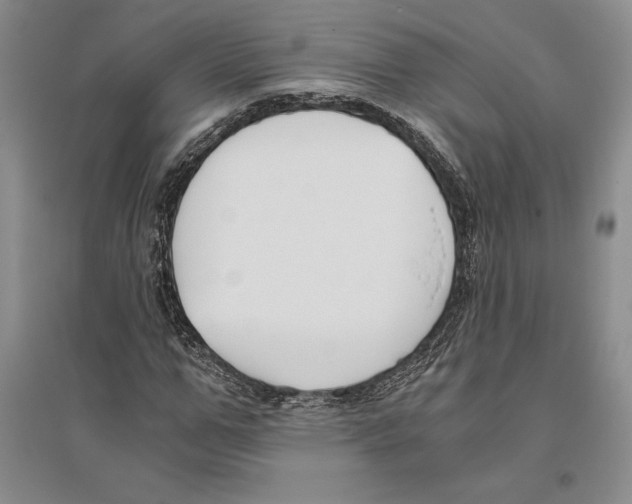 X0000096180967200802151438