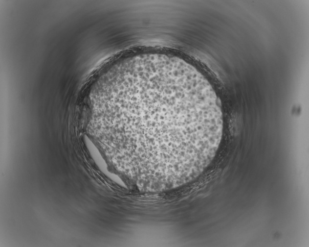 X0000096180968200802151438
