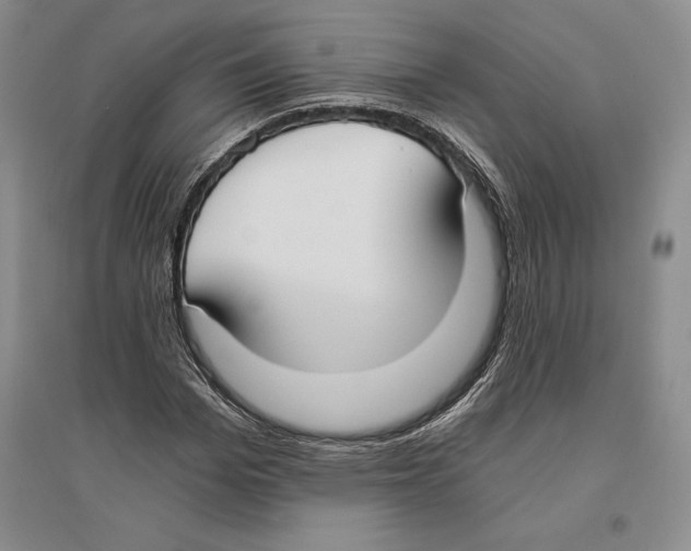 X0000096180969200802151438