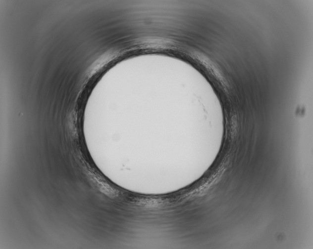 X0000096180970200802151438