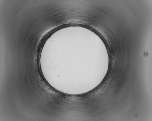 X0000096180971200802151438