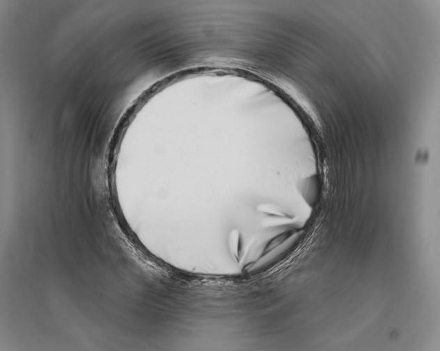 X0000096180972200802151437