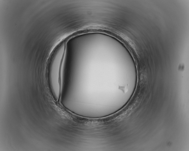 X0000096180973200802151437