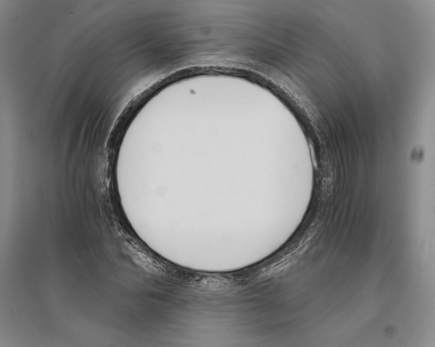 X0000096180974200802151437