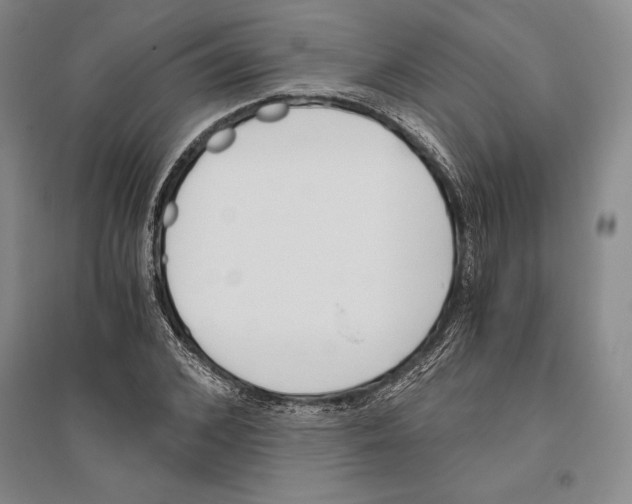 X0000096180976200802151437