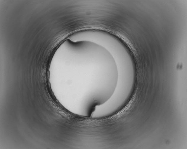 X0000096180977200802151437