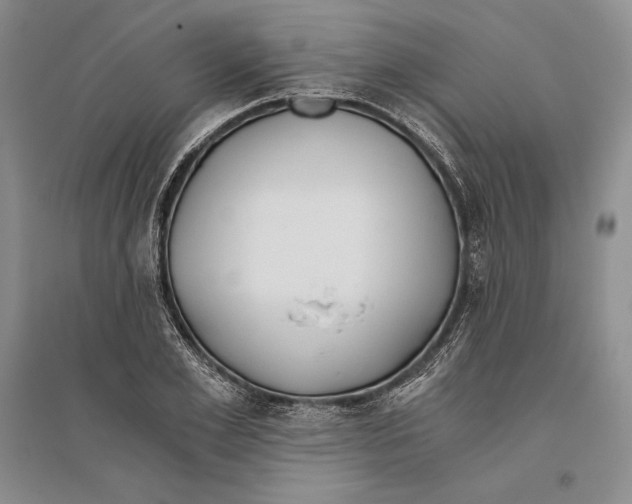 X0000096180981200802151437