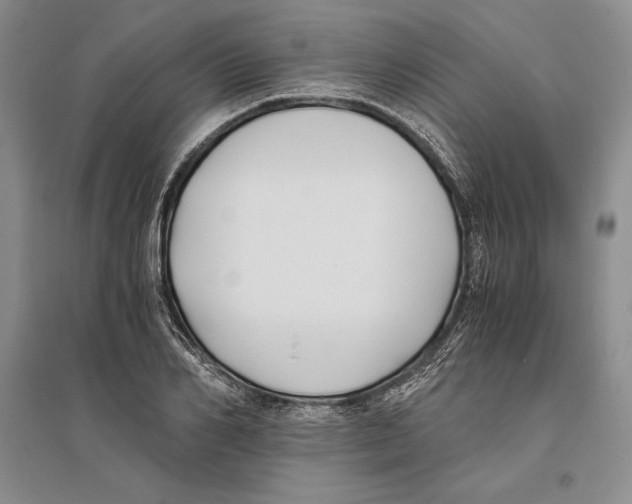 X0000096180982200802151437