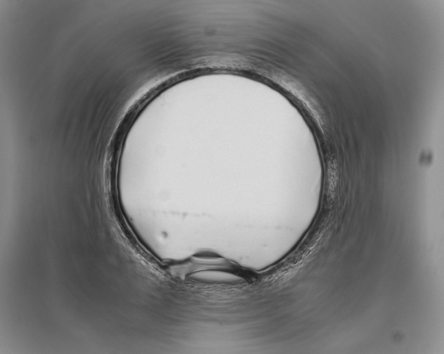 X0000096180983200802151437